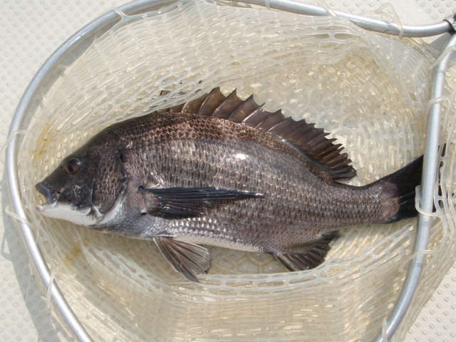 28up